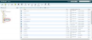 cPanel File Manager