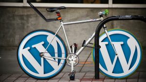 what i learned while creating wordpress websites